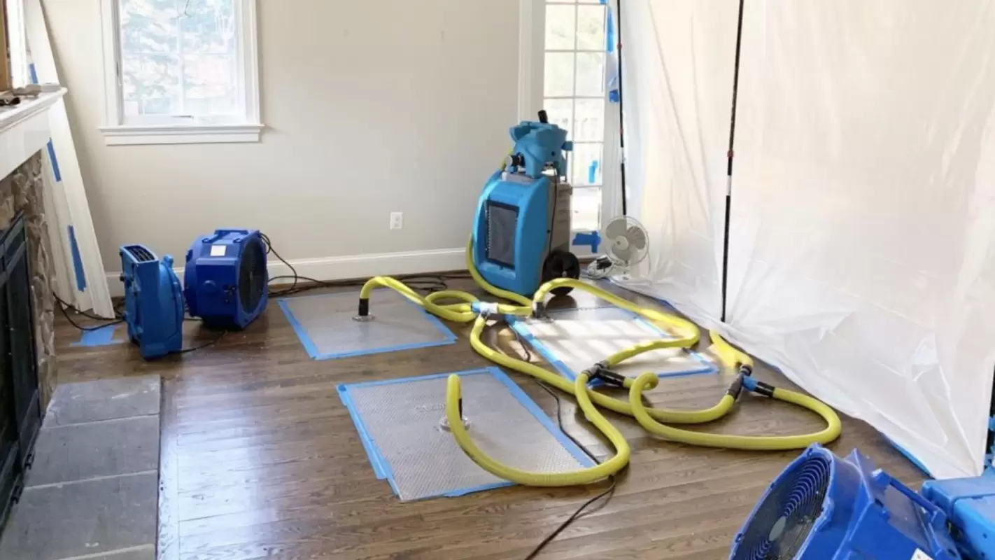 Restoring Your Property with Professional Water Removal Services