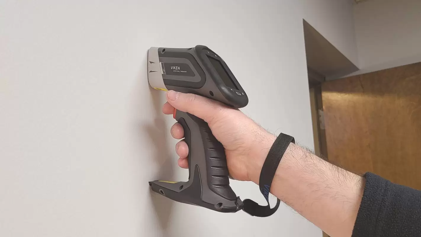 Test Today and Protect Forever with Our Lead Paint Testing