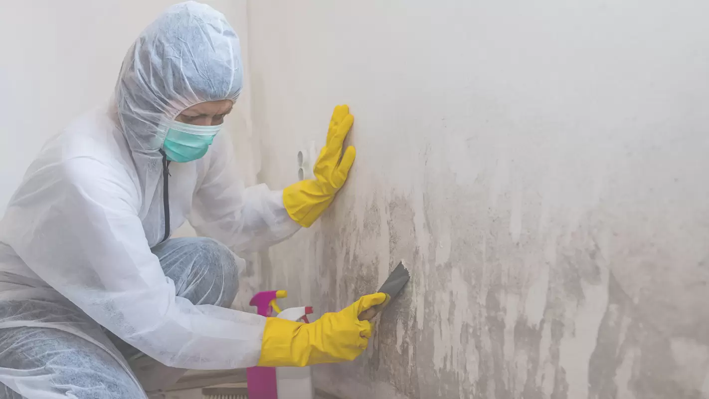 Seal The Danger with Expert Lead Paint Encapsulation.