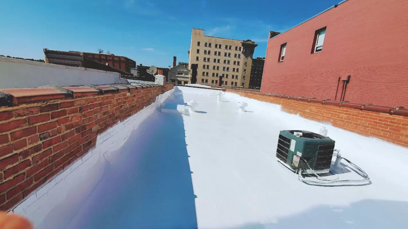 Masters Of Precision Are Our Roofing Specialists