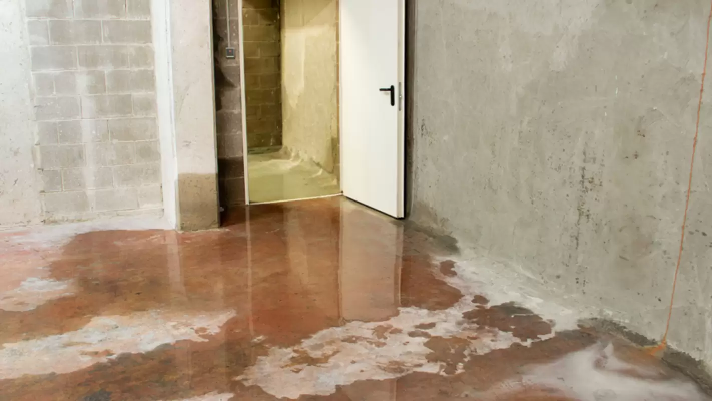 Affordable Flood Damage Restoration Cost for Every Budget!