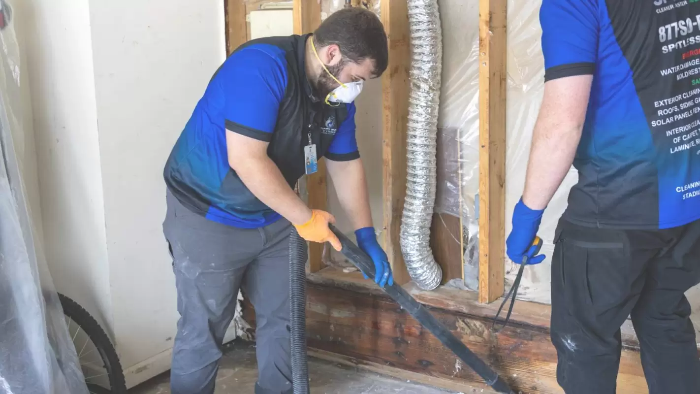 Mold Remediation Service In Lexington, KY To Unfold Home’s Beauty