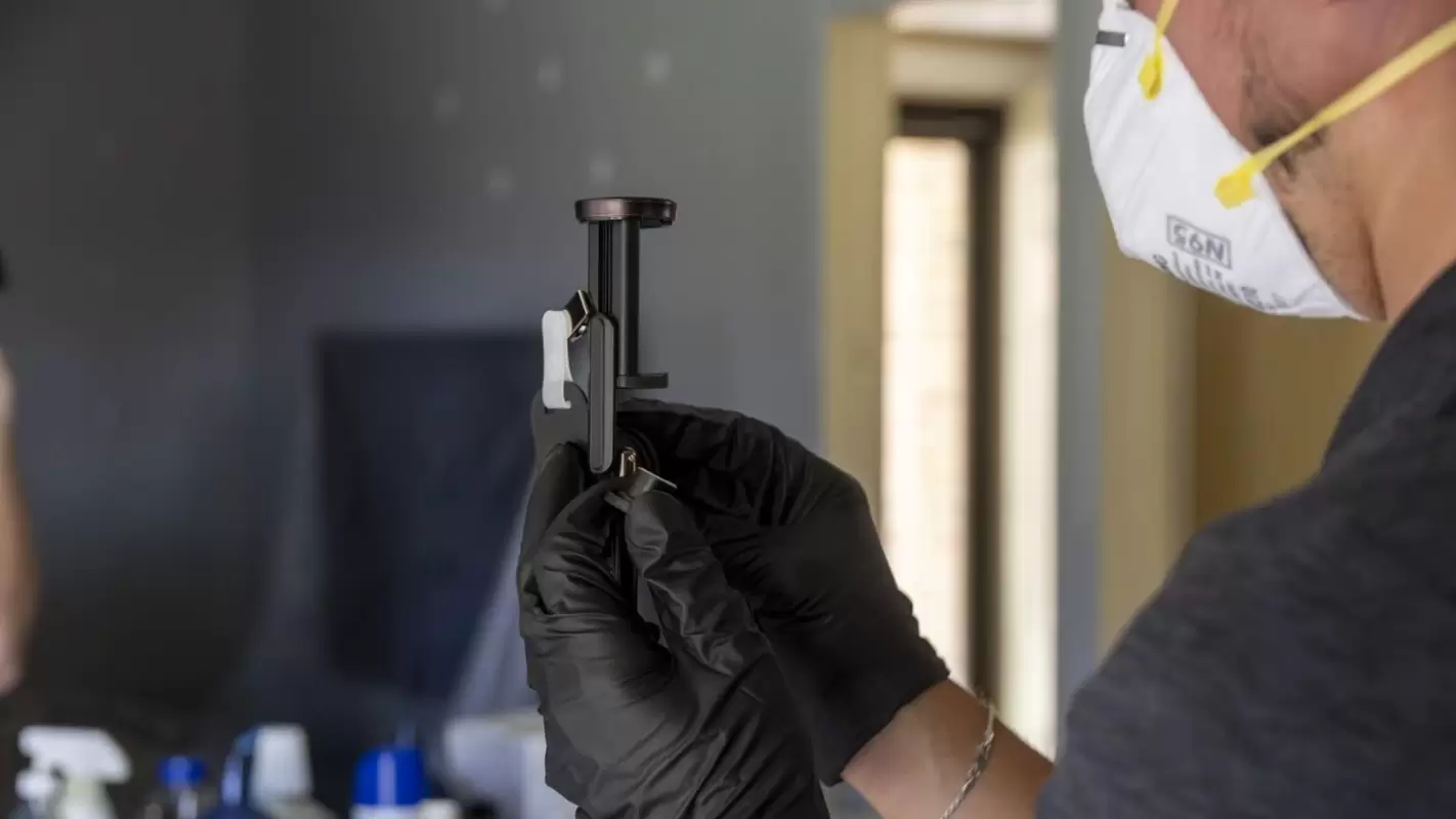 Best Mold Inspection Companies To Eliminate Mold
