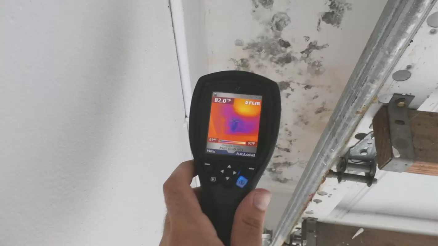 Count On Our Experts To Get The Best Mold Testing Solutions