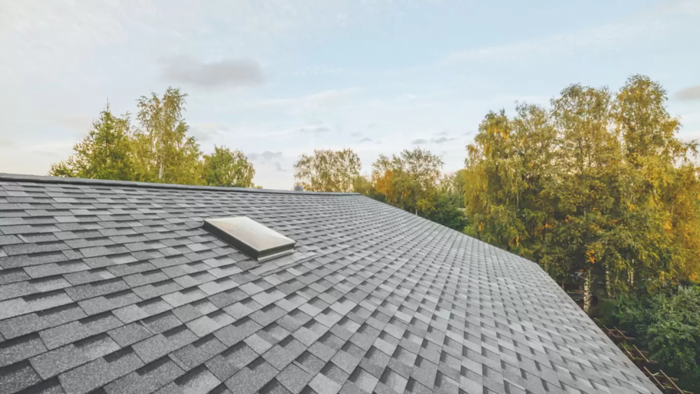 Stop Searching for Roofing Contractors Near Me. Contact Us Today