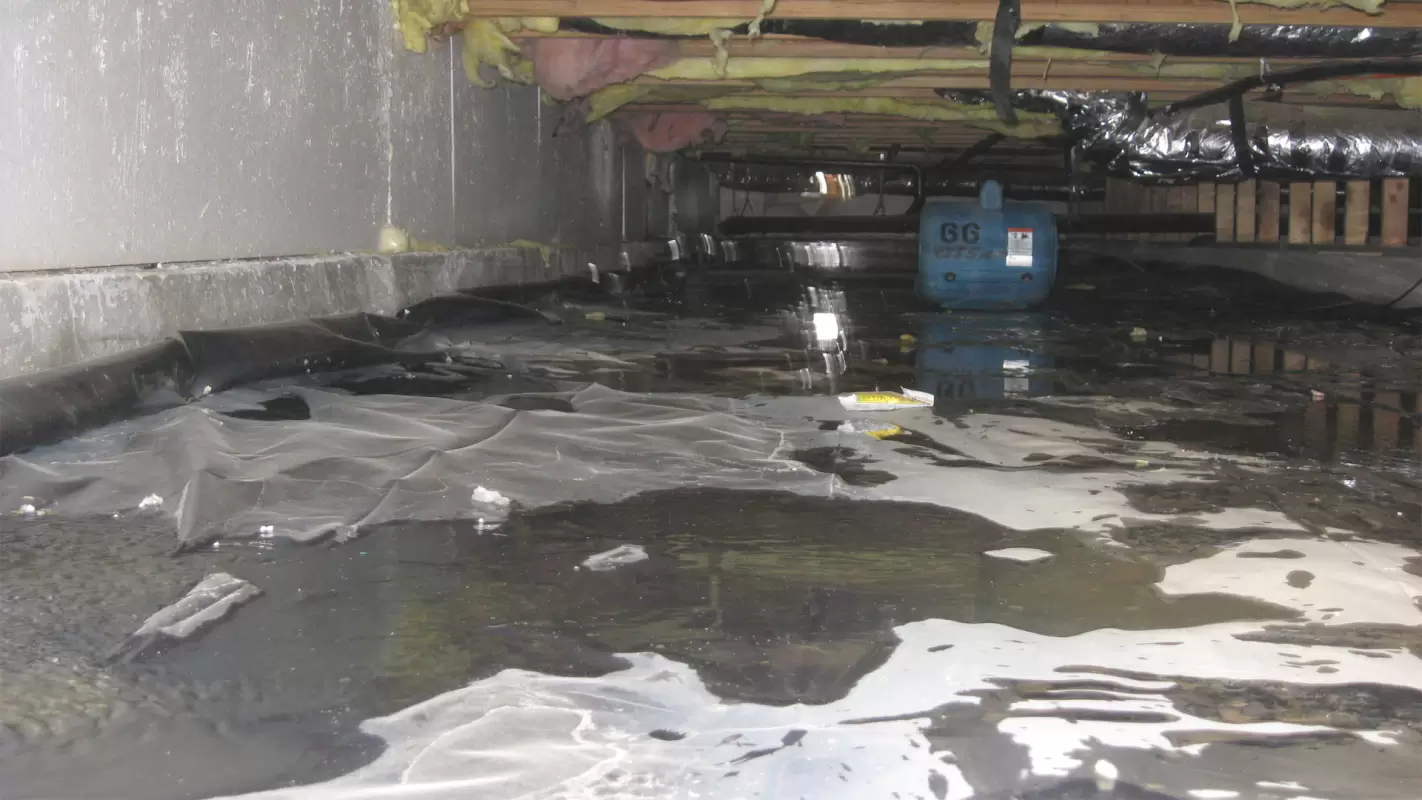 Quality Basement Water Damage Repairs That Won’t Drain Your Wallet