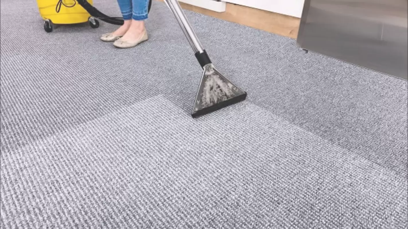 Professional Carpet Cleaners To Get Redefine Luxurious Carpet