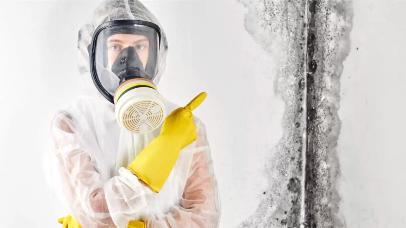 Breathe Fresh & Live Free with Our Mold Remediation!