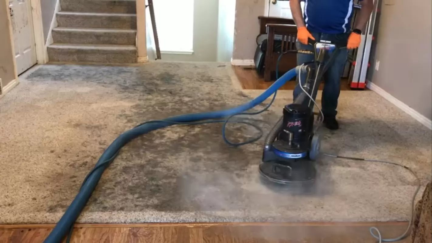 Get Fresh Air Back with Our Best Carpet Odor Removal Services