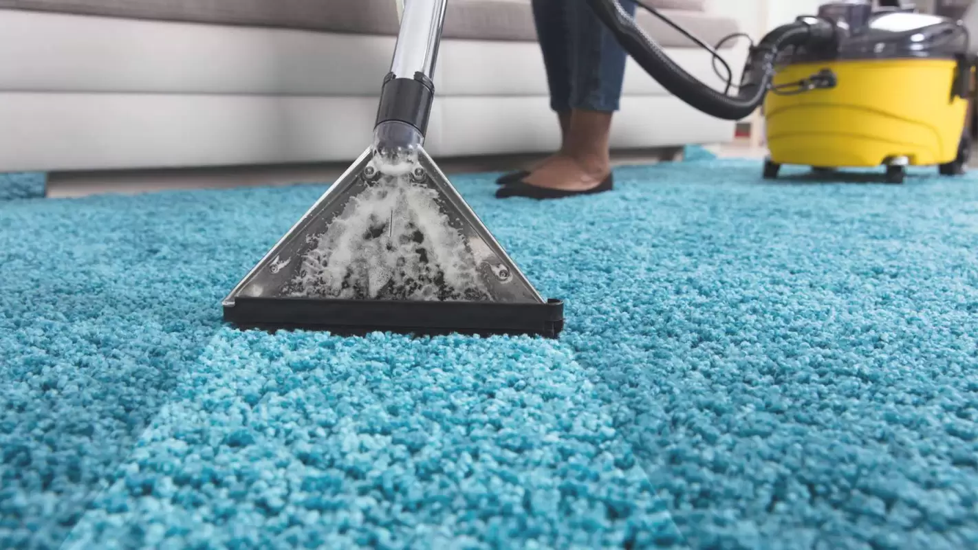 Your Go-To Local Carpet Cleaning Services