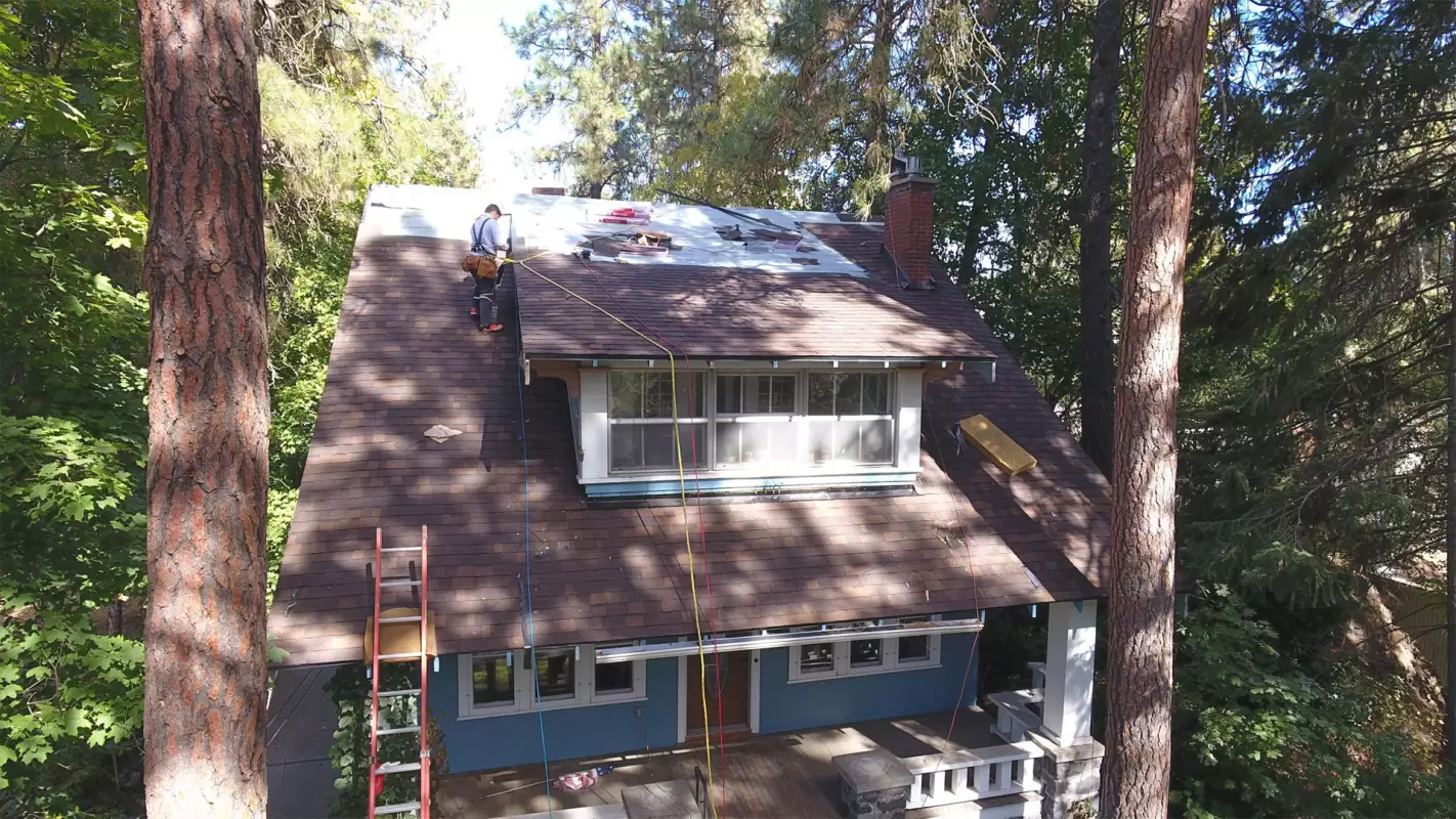 Professional Shingle Roof Replacement Company in Colbert, WA.