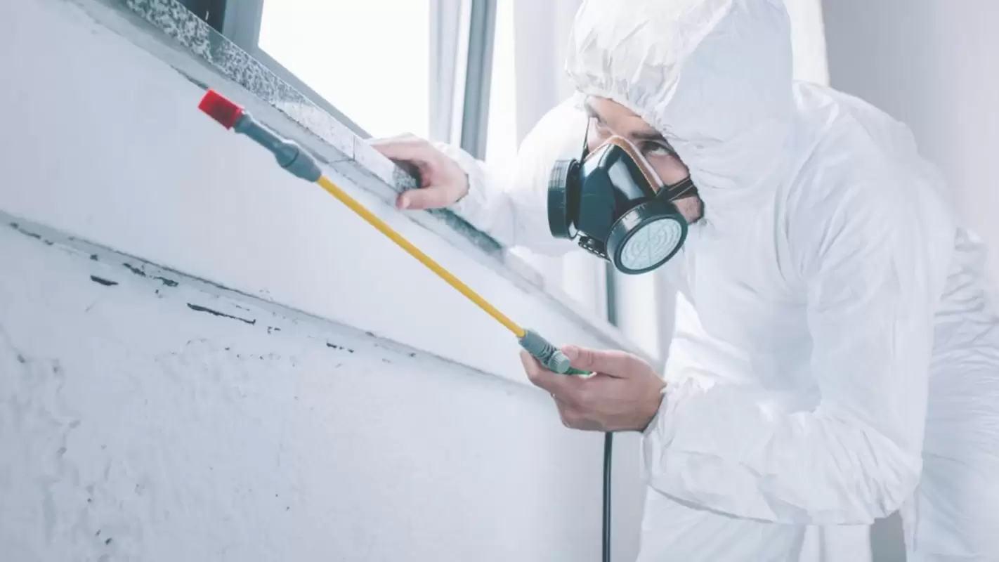 Safe & Effective Mold Removal After Water Damage