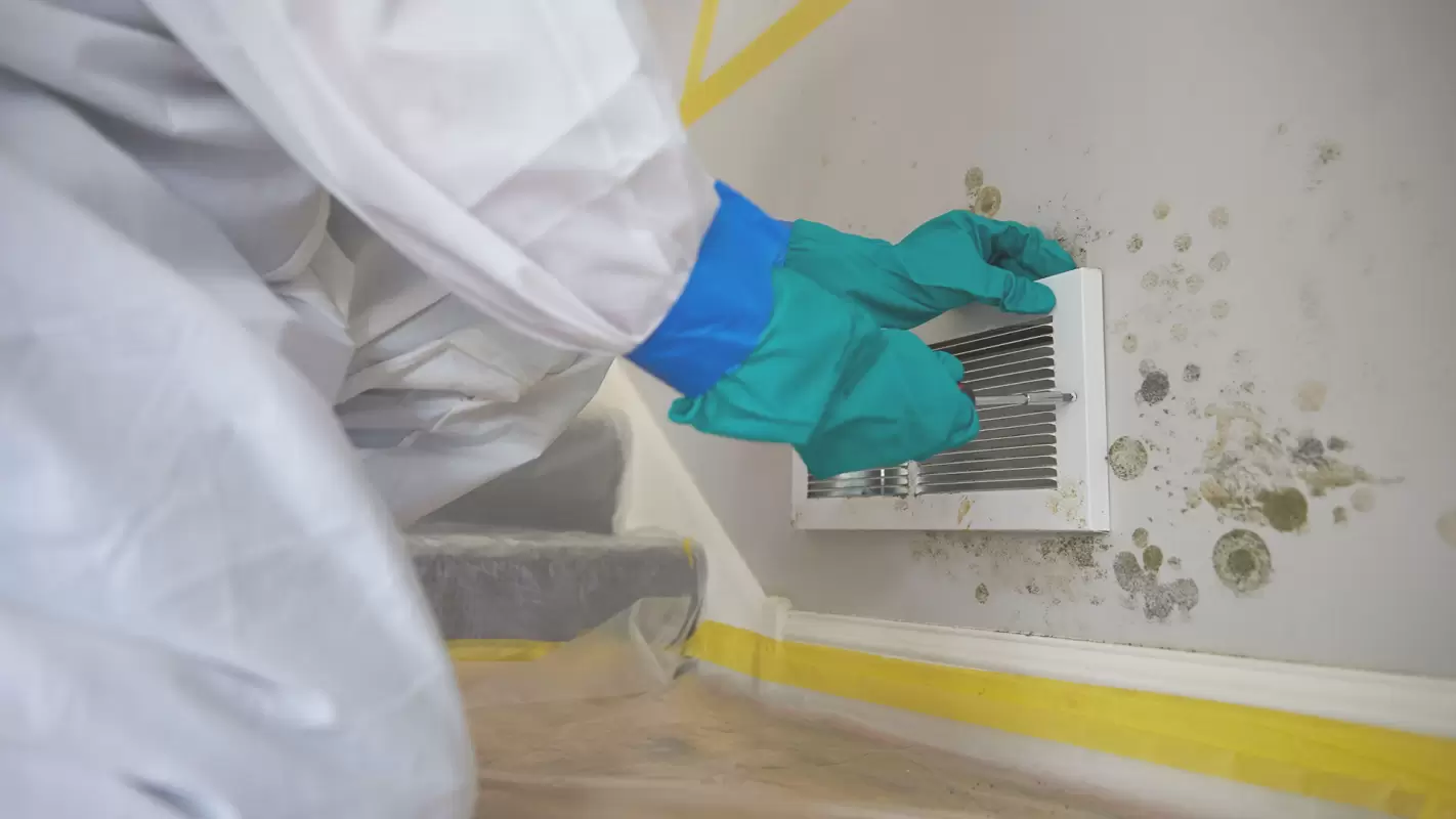 Say No To Mold, By Getting The Best Mold Remediation Services