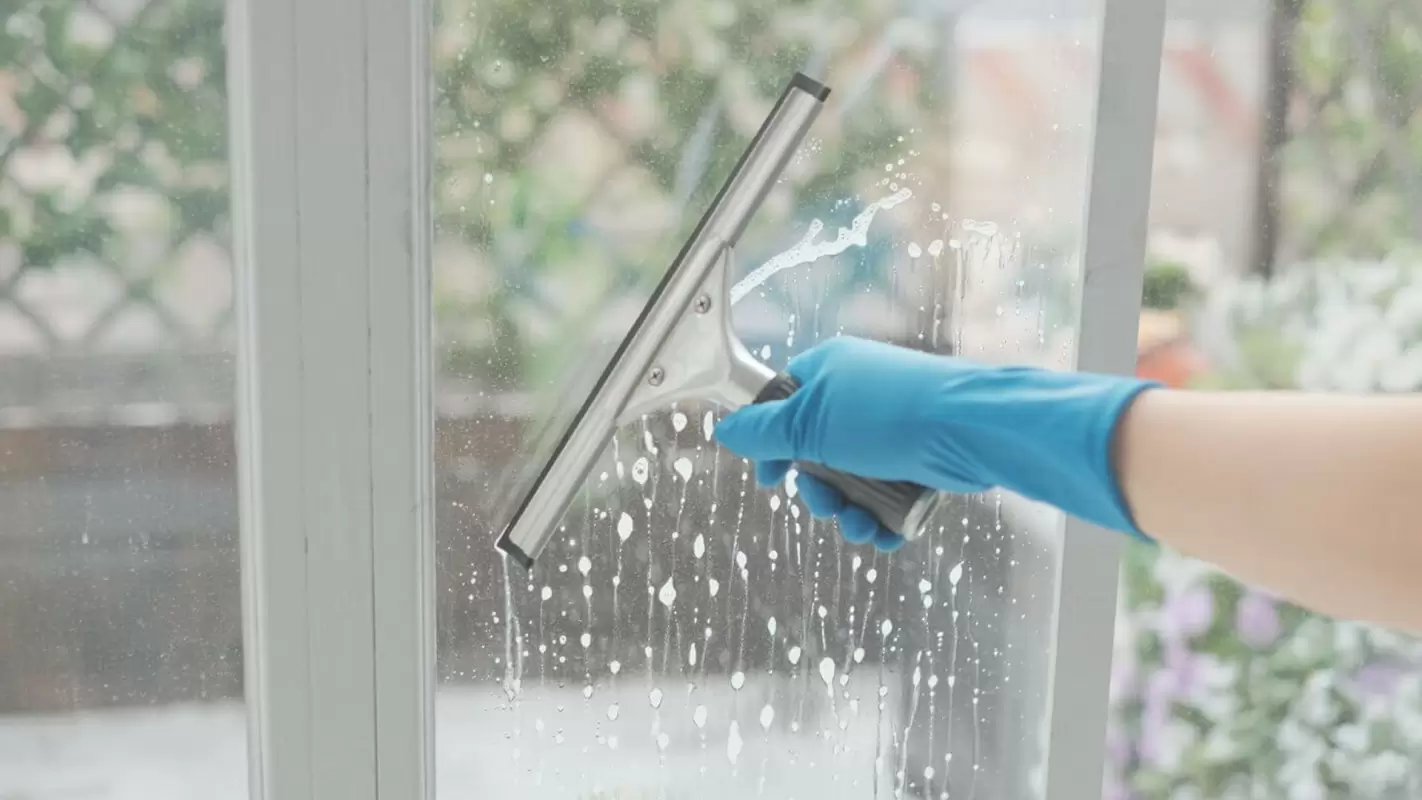 Best Window Cleaning Services To Transform Your View