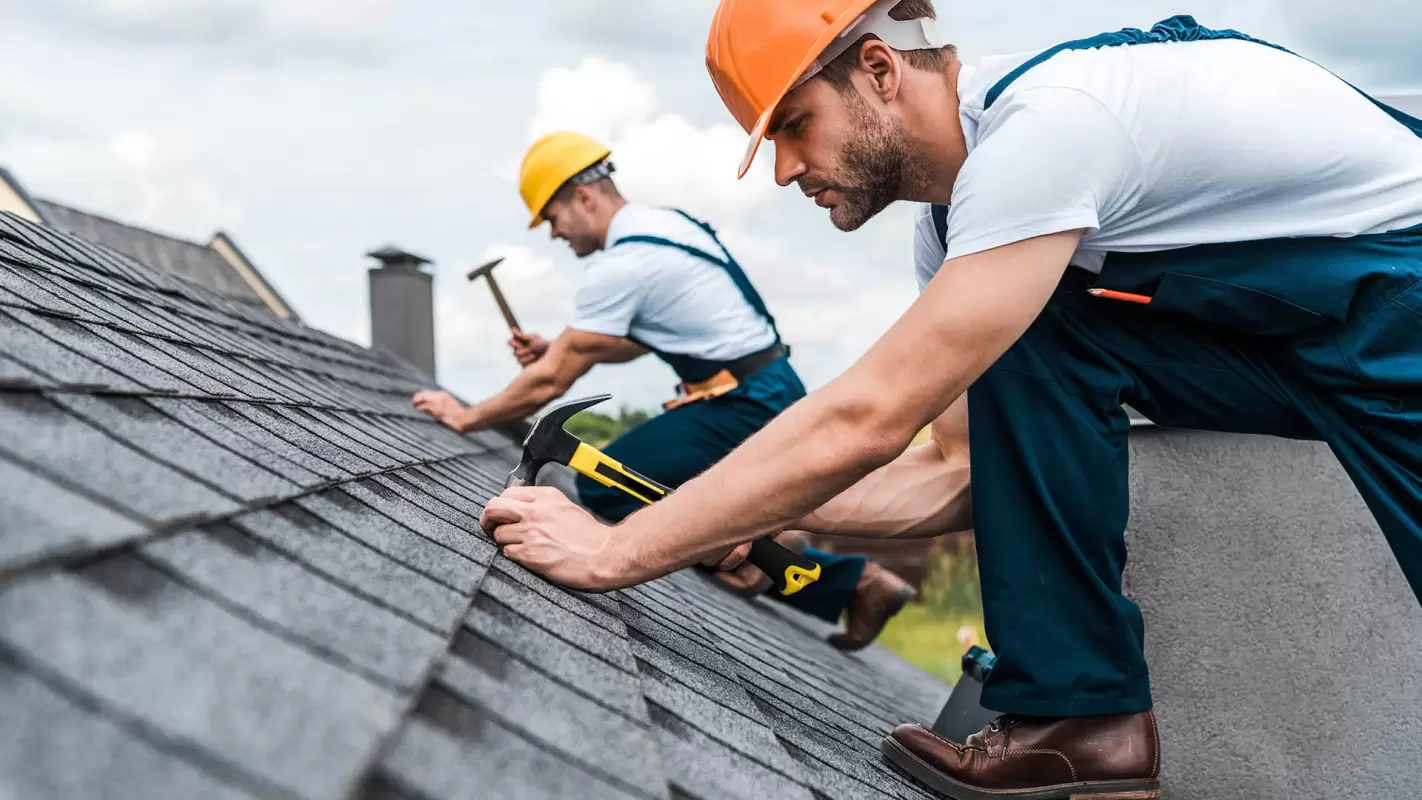 Professional Roof Repairs Company – Where Instant Solutions Are Provided