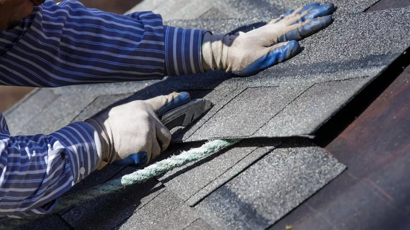 Looking For Roof Replacement Near Me? We’re Seasoned Experts