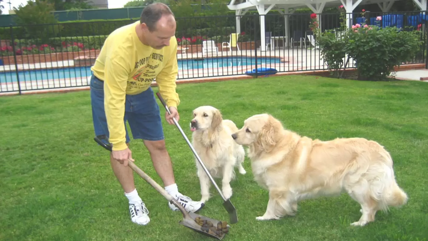 Pet Waste Removal Services To Beautify Your Backyard