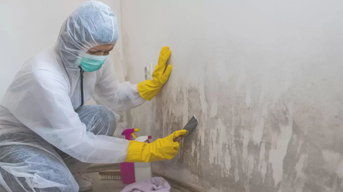 Securing your Haven with Our Residential Mold Removal