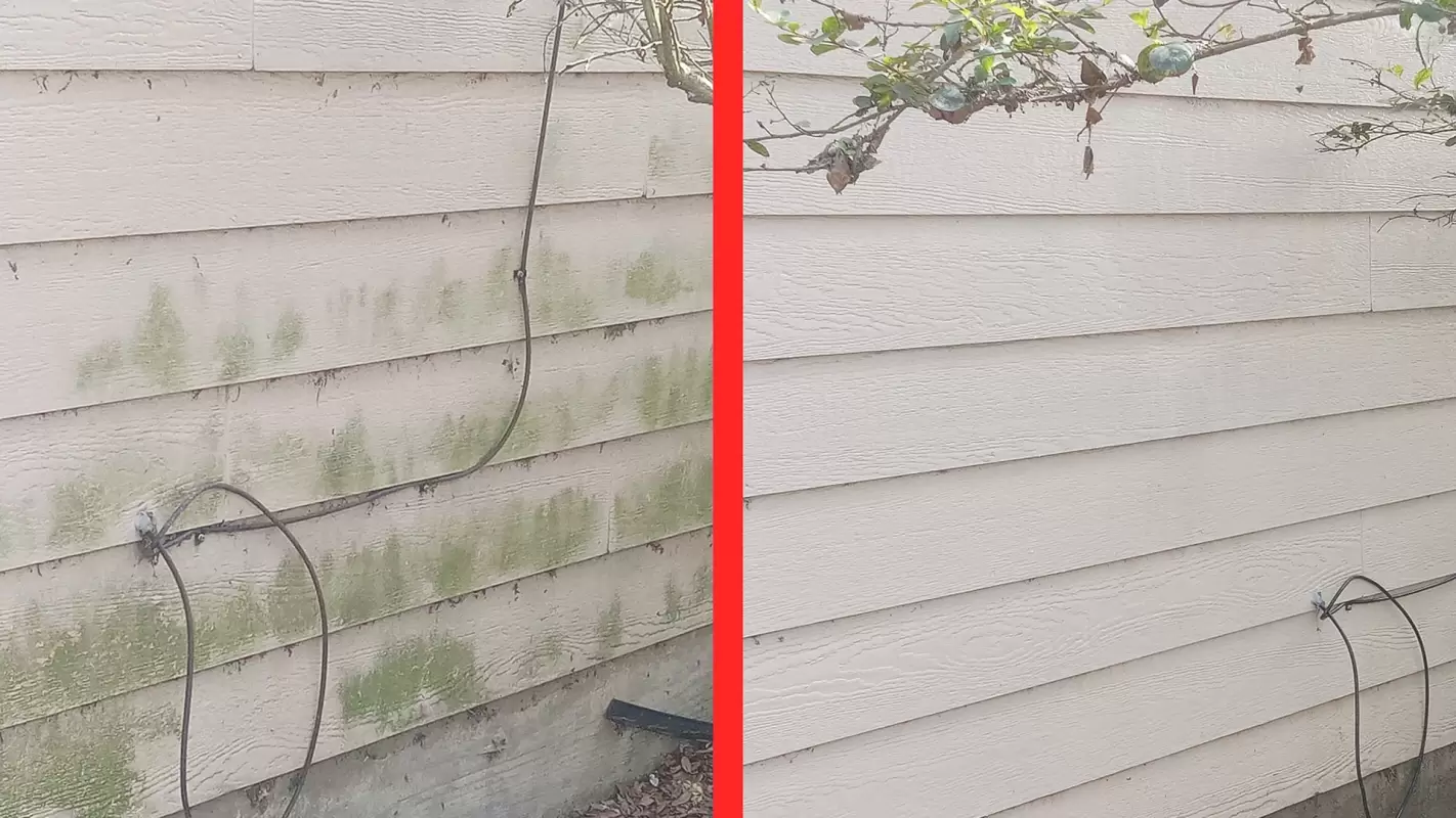 Searching For Pressure Washing Near Me? We Are Expert