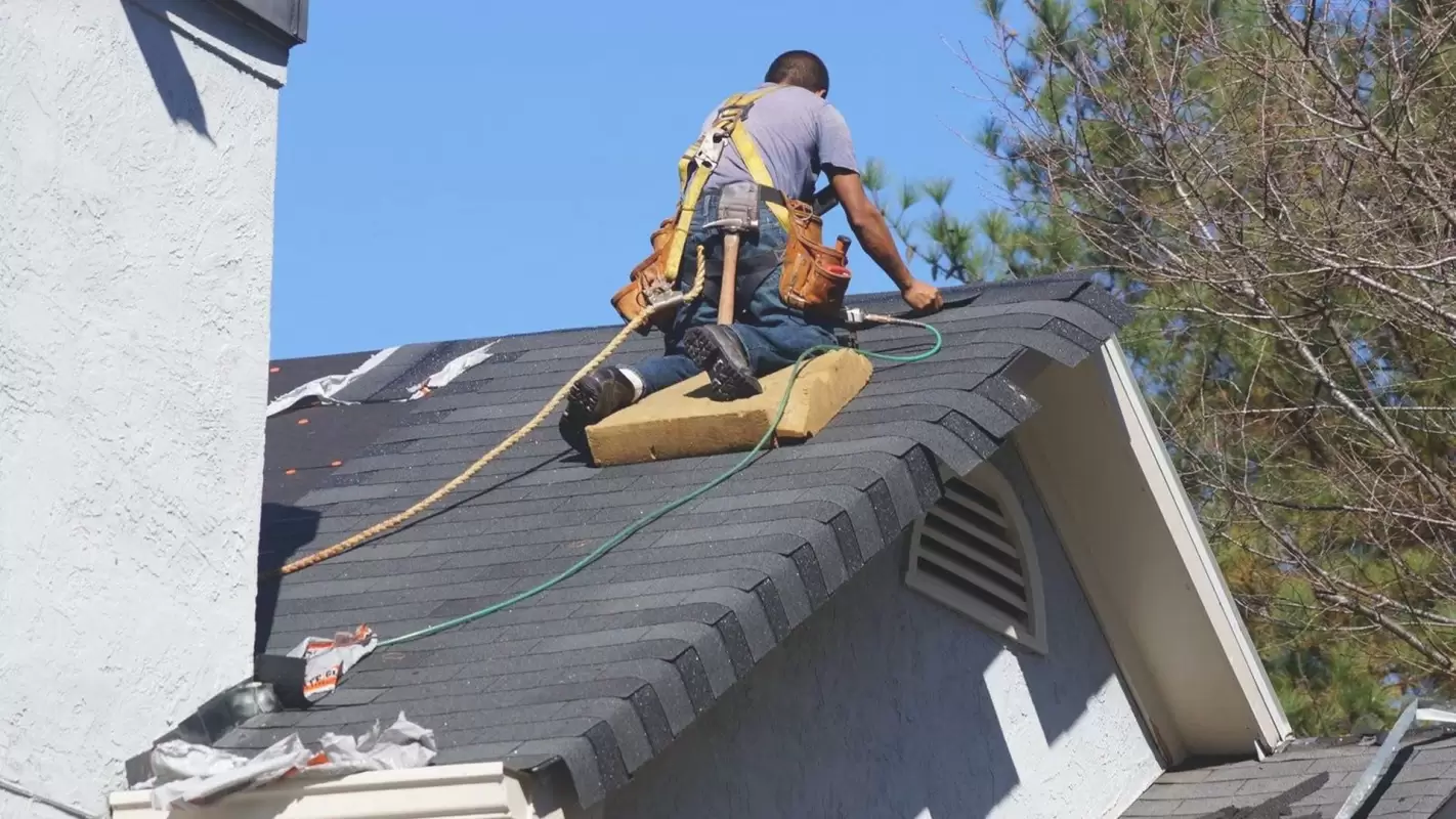 Expert Solutions From Roof Repair Specialists