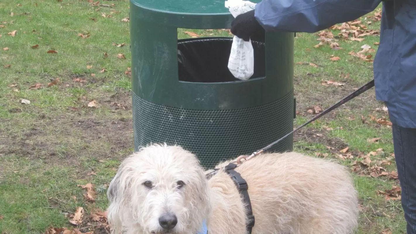 Residential Pet Waste Removal To Transform Turds Into Tidy