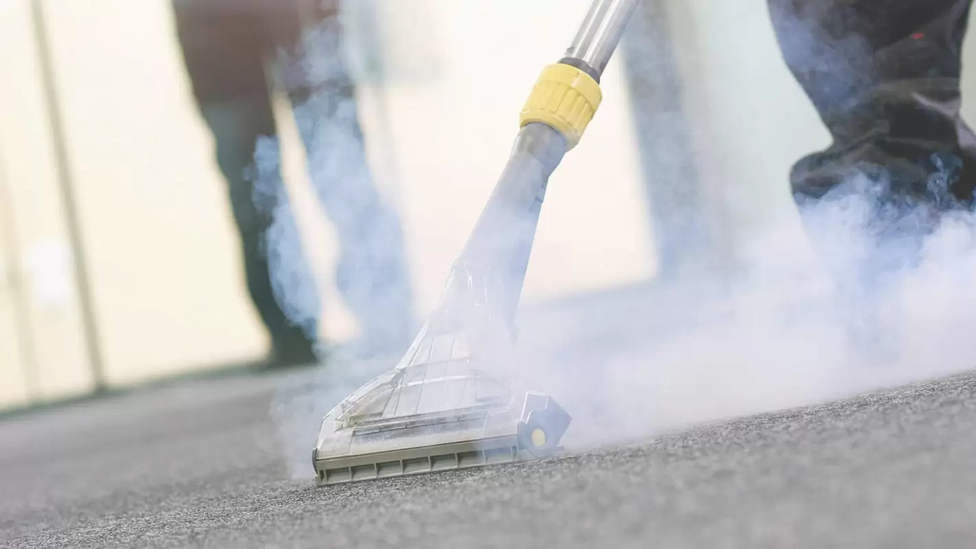 Looking For Carpet Steam Cleaning Near Me? Look No Further