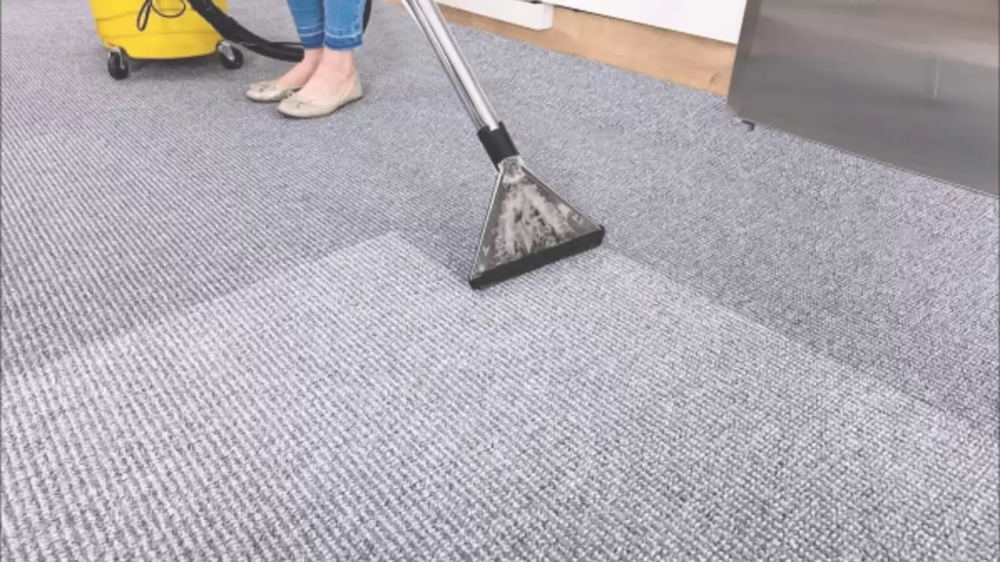 Best Carpet Cleaning Services To Prolong Carpet Lifespan