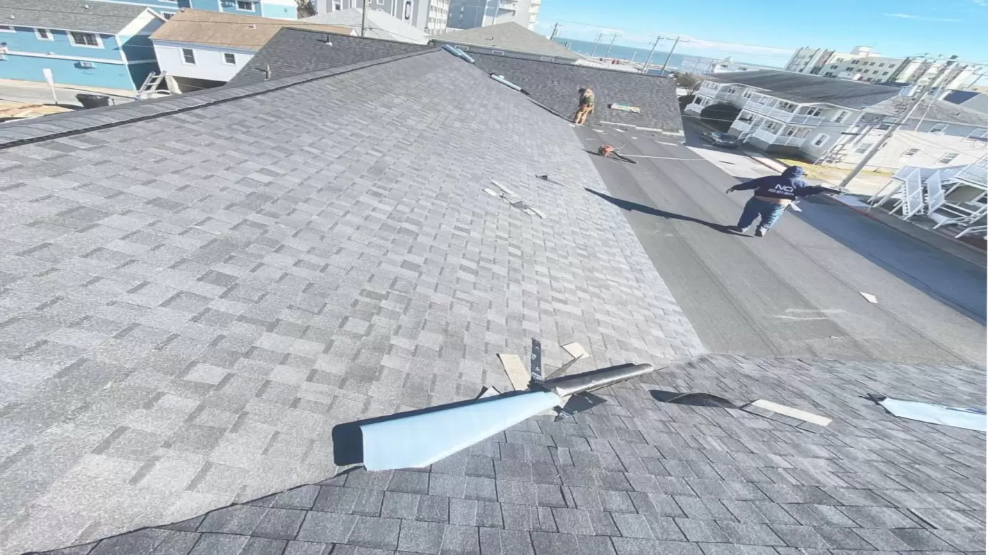 Stop Looking For “Roof Repair Near Me!” Contact Us!
