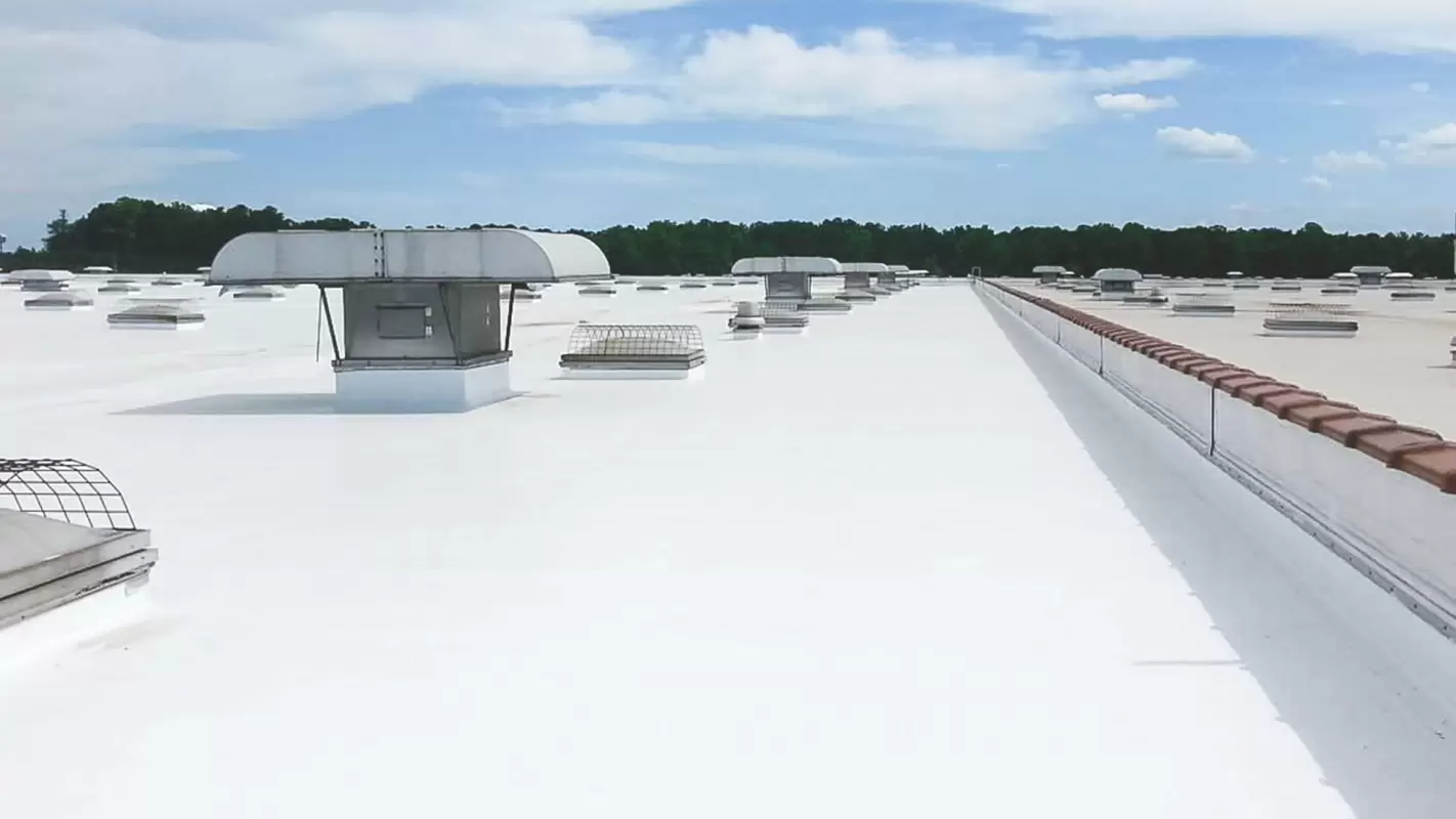 Affordable TPO Roofing Company To Bring You Peace Of Mind