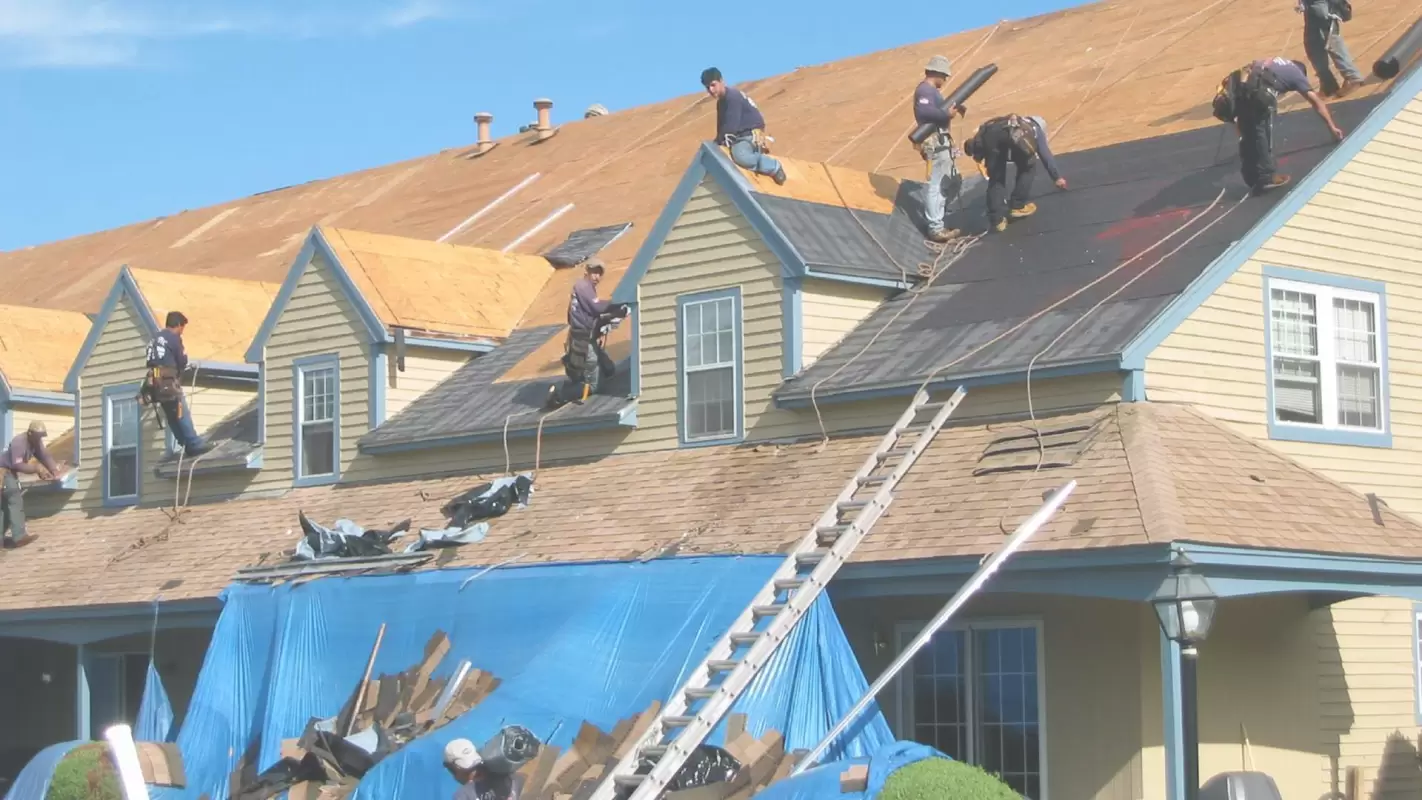 Don’t Look for “Roofing Repair Near Me”, We’re Here to Help!