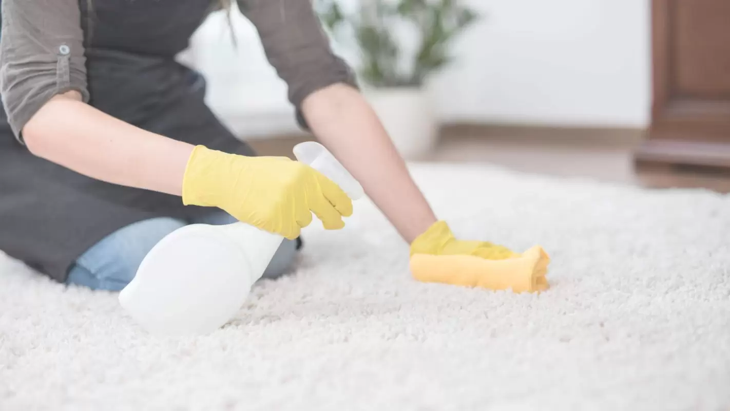Revive Your Carpets With A Top-Notch Carpet Stain Removal Company.