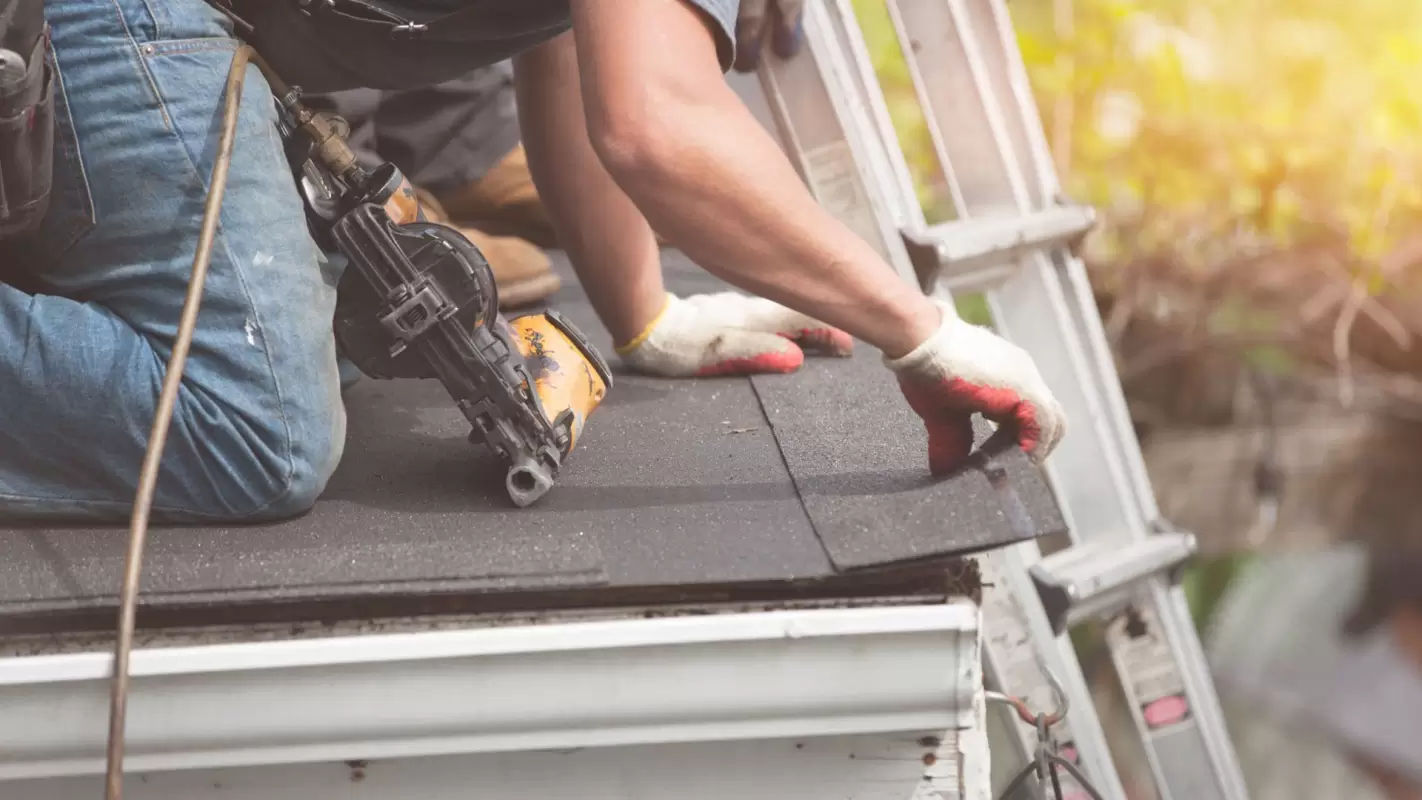 Stop Looking For “Roof Repair Near Me!” Call Us!