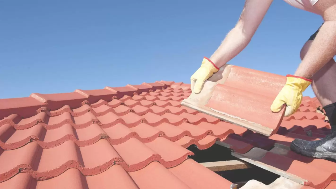 Affordable Roof Installation Services That Fit Your Budget