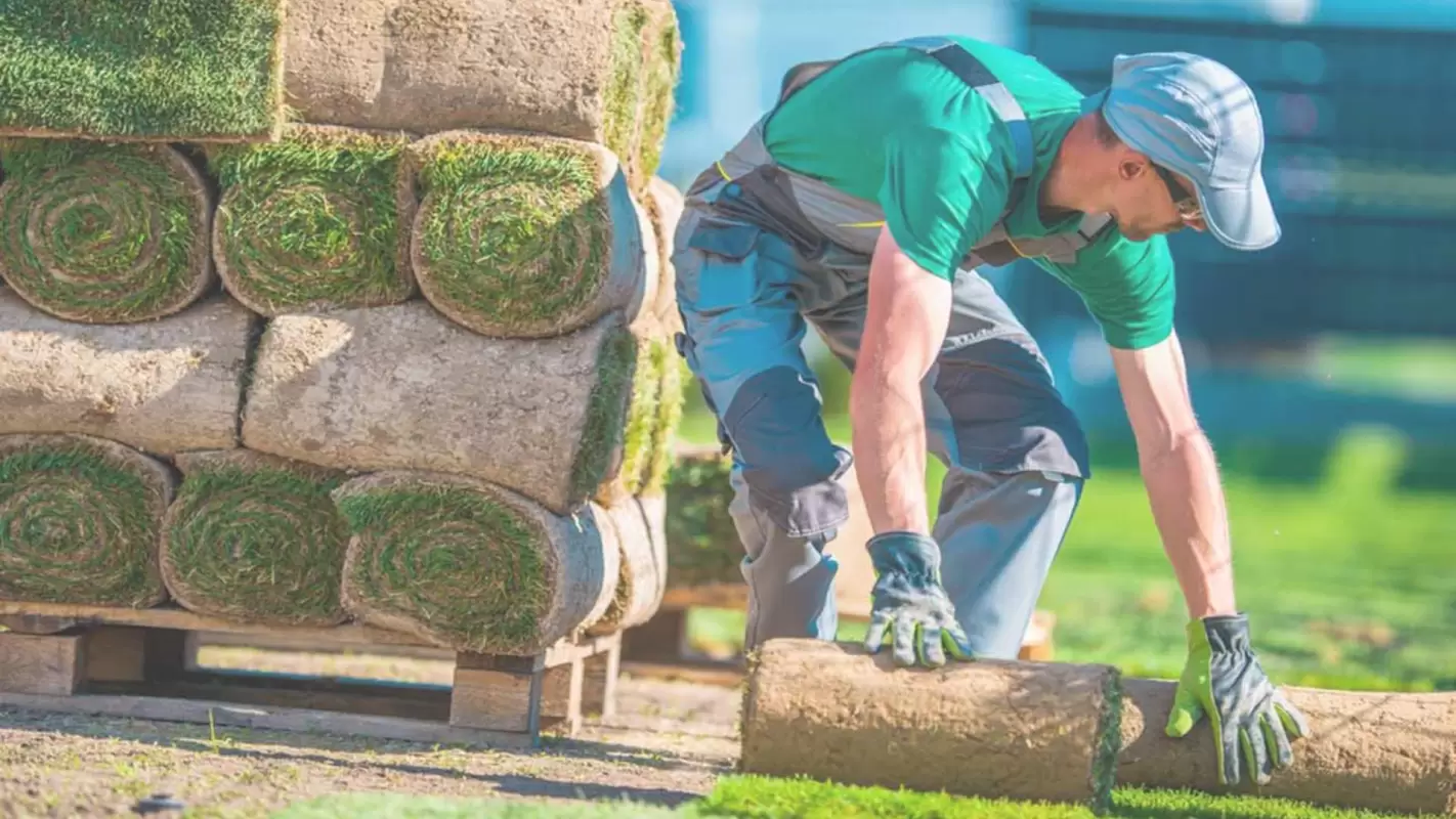 Professional Landscaping Contractors To Cultivate Elegance In Your Backyard