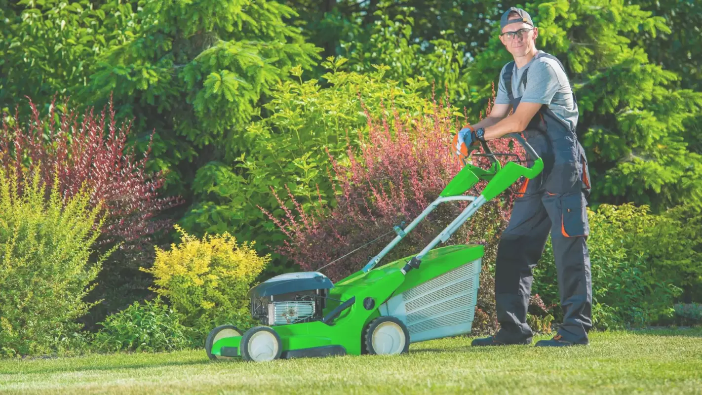 Lawn Maintenance ServiceNothing Is Faster Than Our Lawn Maintenance Servicess For Aesthetic Appeal