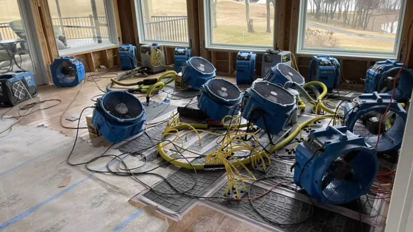 Your Trusted Water Extraction Contractors For Quality Workmanship