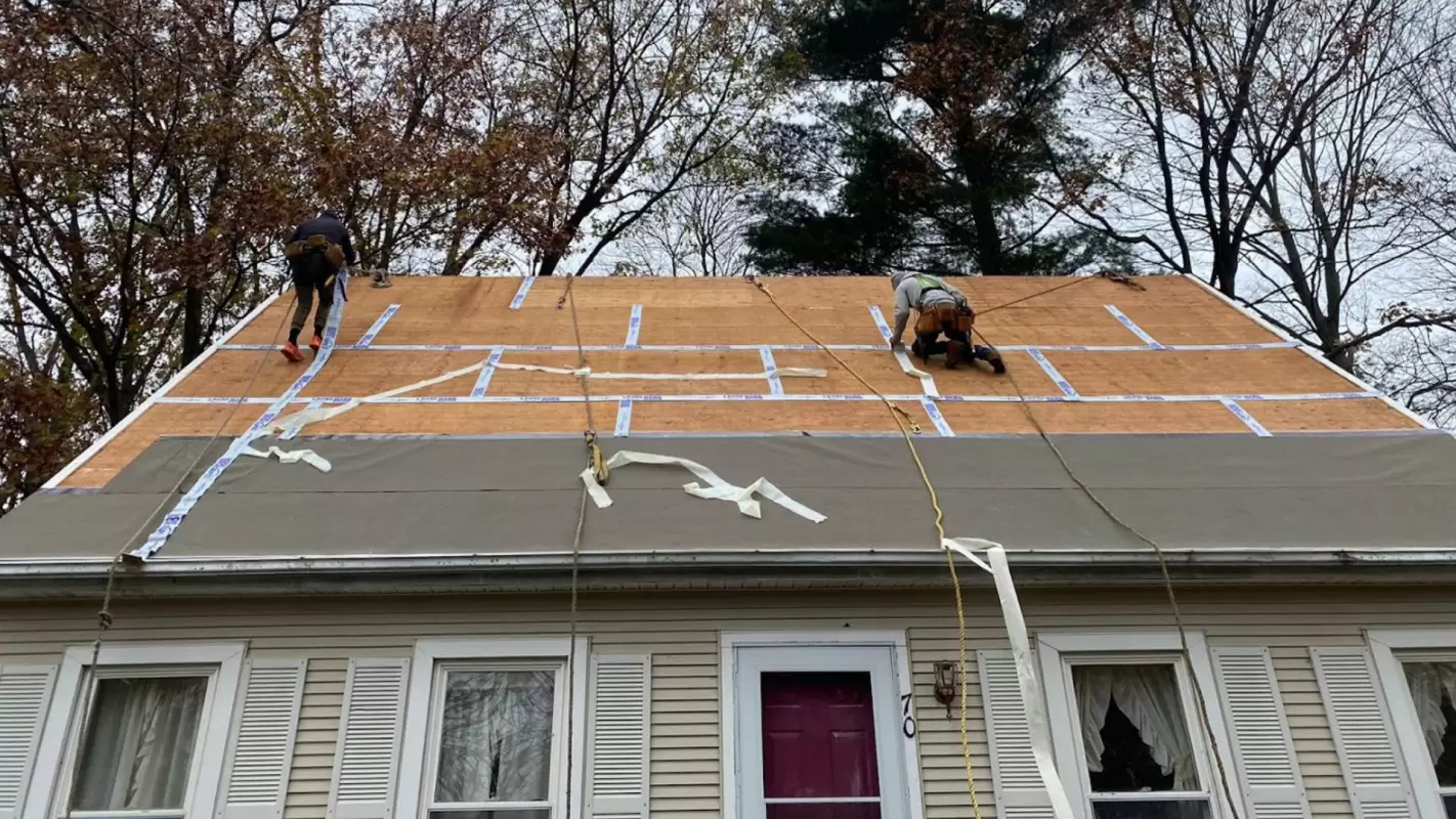 Dependable Roof Replacement Services for Lasting Protection