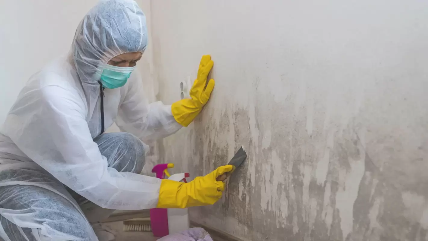 Hire Us As Your Mold Remediation Services In Sugar Hill, GA