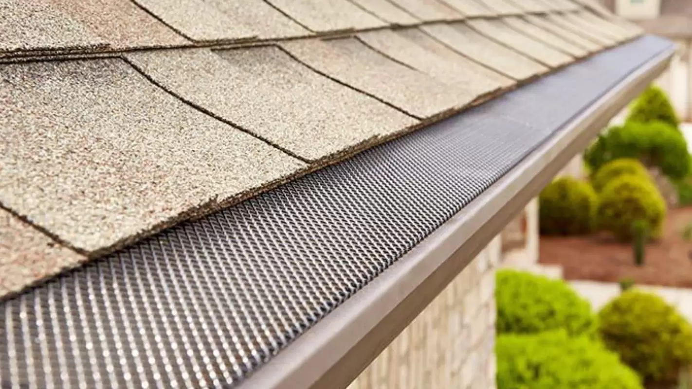 Professional Leaf Filter Installation for Worry-Free Gutters