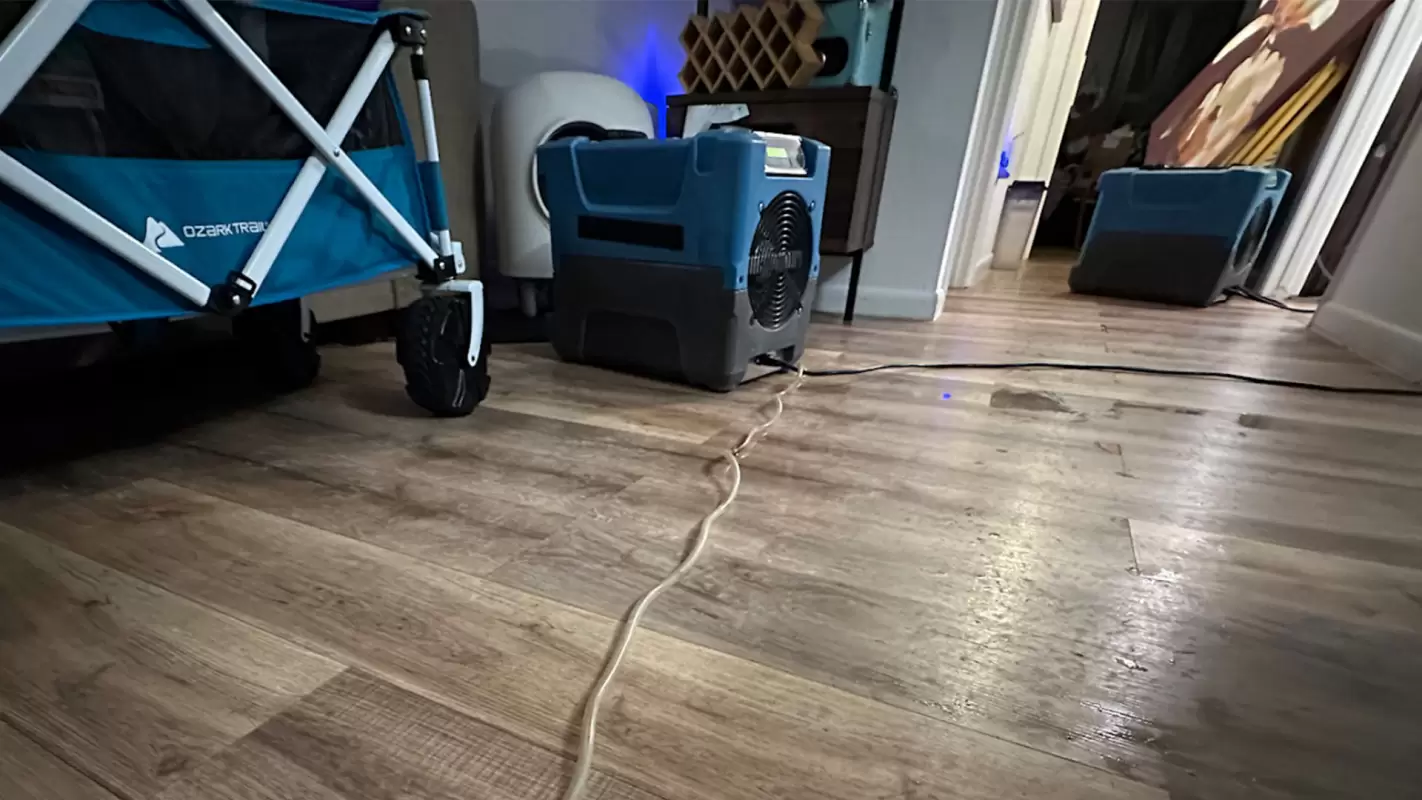 Water Damage Repair Contractors You Can Rely on For Expert Solutions