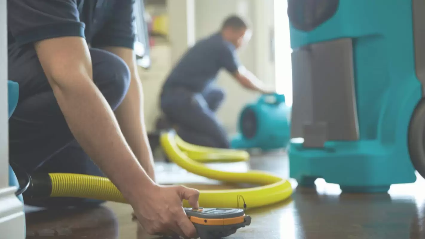 Affordable Water Damage Restoration Services to Restore Comfort in Your Home
