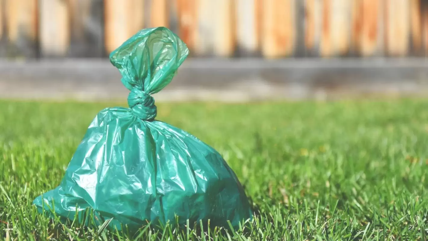 Best Pooper Scooper Service to Keep Your Outdoor Space Clean and Fresh