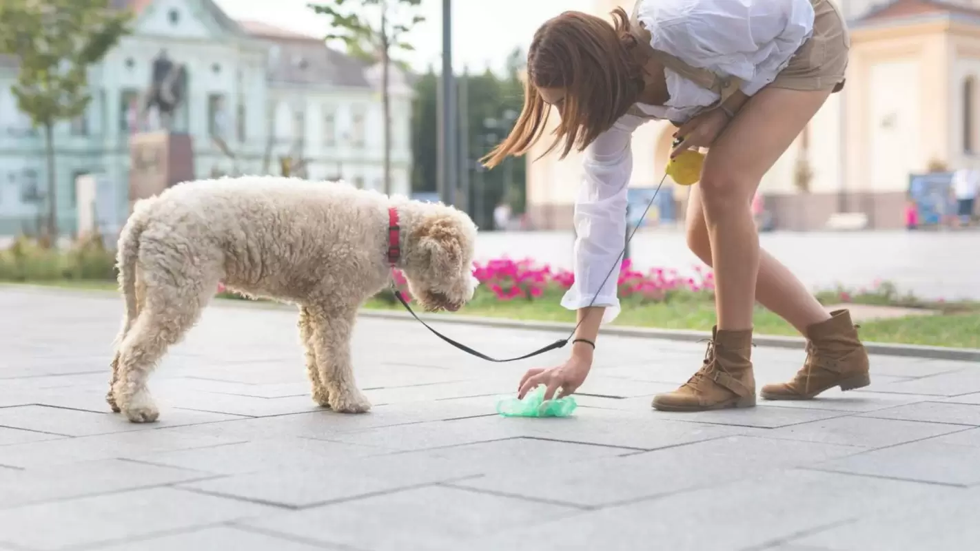 Your Query For “Dog Poop Removal Near Me” Ends Here