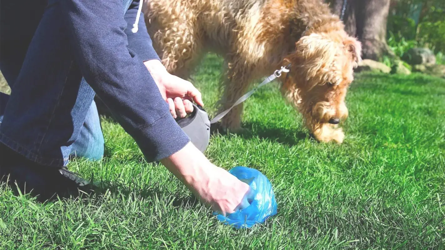 The Perfect Choice For Pet Waste Removal Service