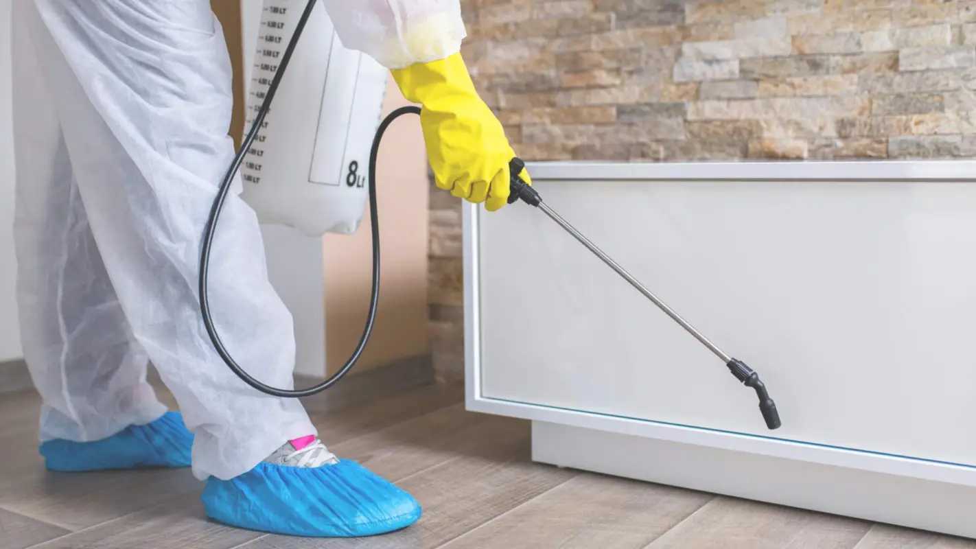 The Mosquito Exterminator Near Me That’s Always Ready to Serve