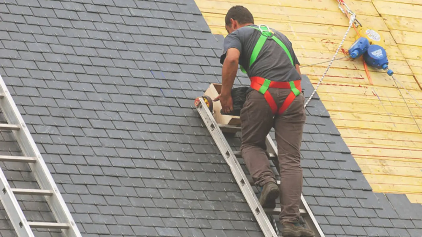 Your Peace of Mind Starts with The Best Roof Repair Companies