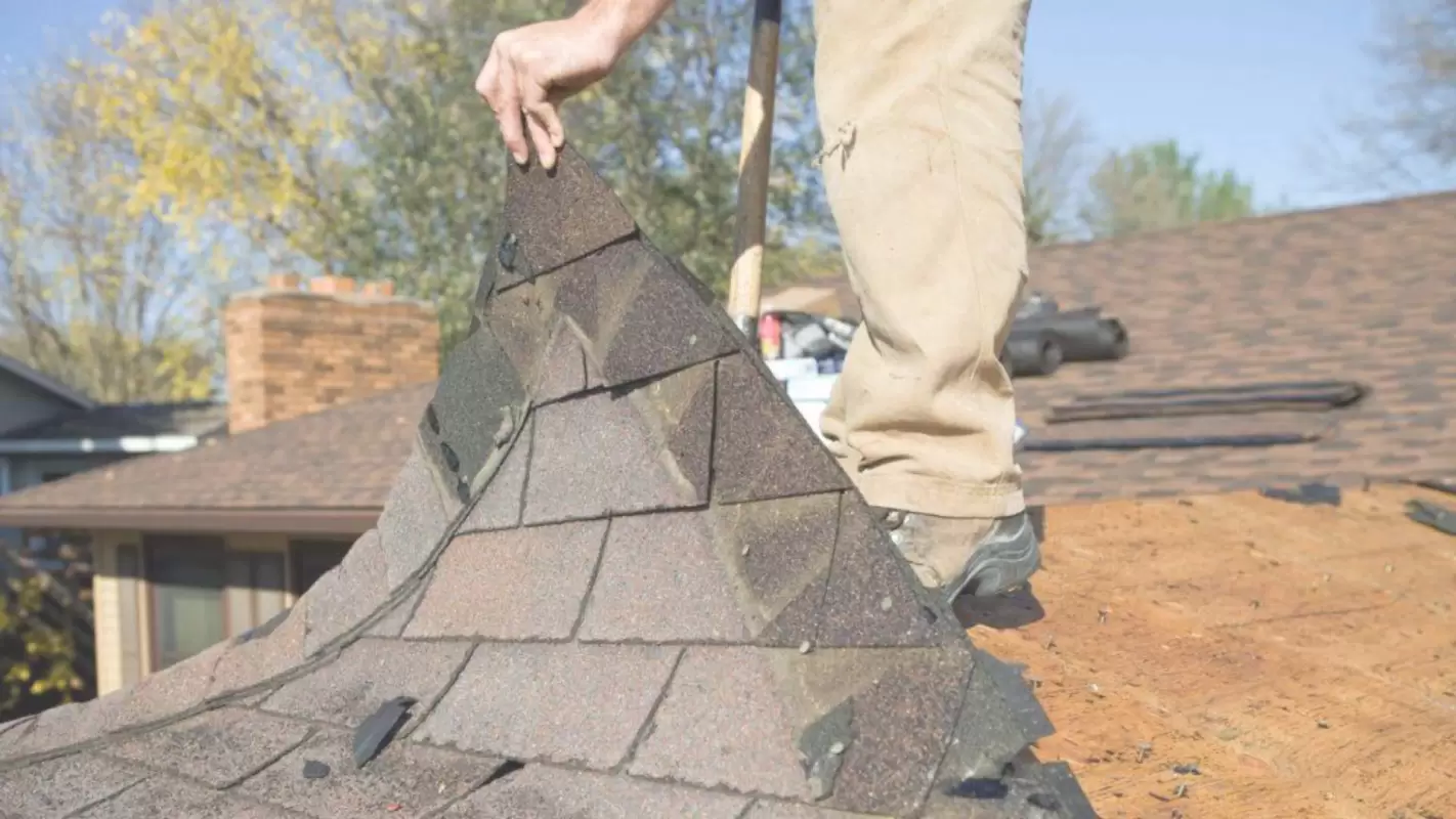 Your Go-To Experts for Local Roof Replacement