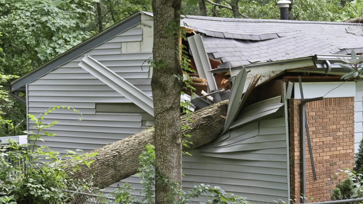 Trustworthy Roof Damage Repair Services for All Your Needs