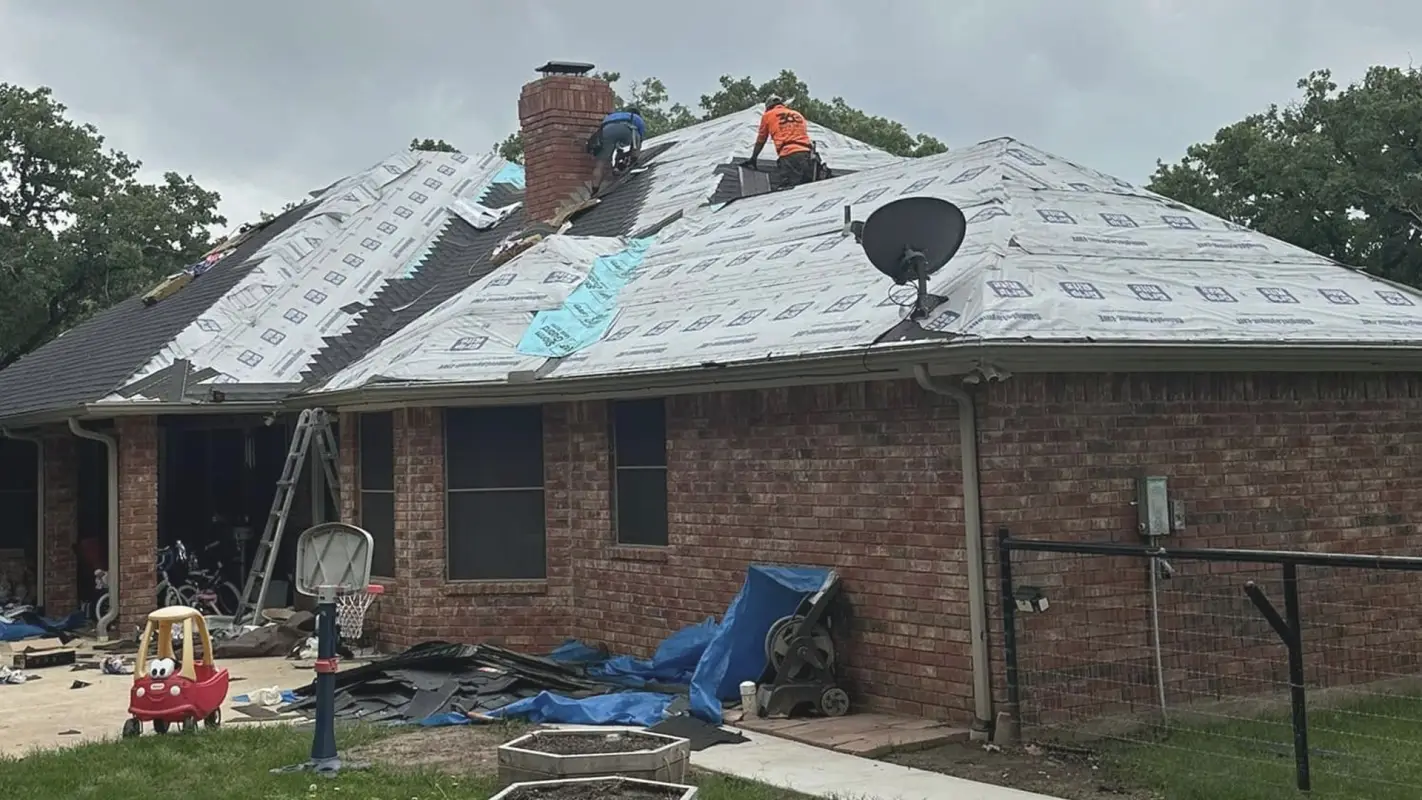 Professional Roof Contractor You’ve Been Looking For