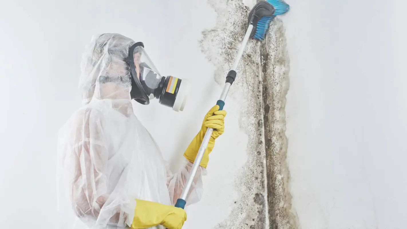 Residential Basement Flood Cleanup Done Right And Quick